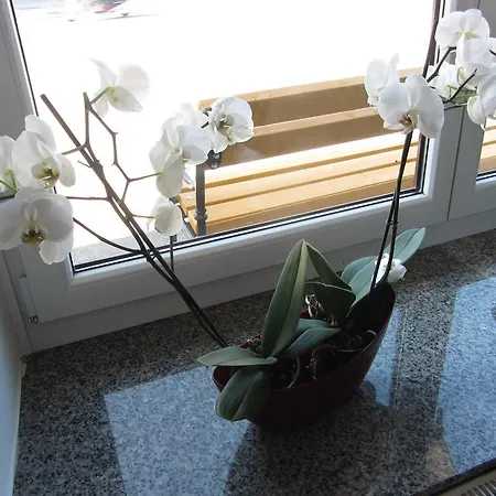 Guest house Tollazzi Logatec