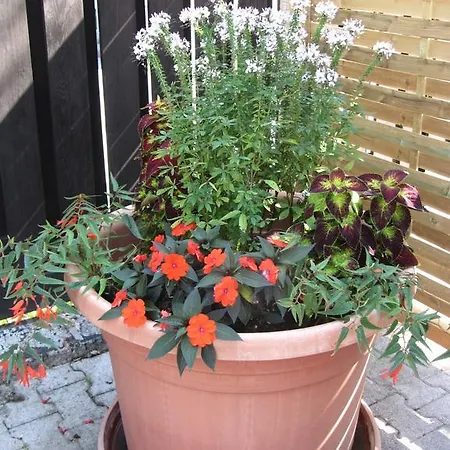 Guest house Tollazzi Logatec