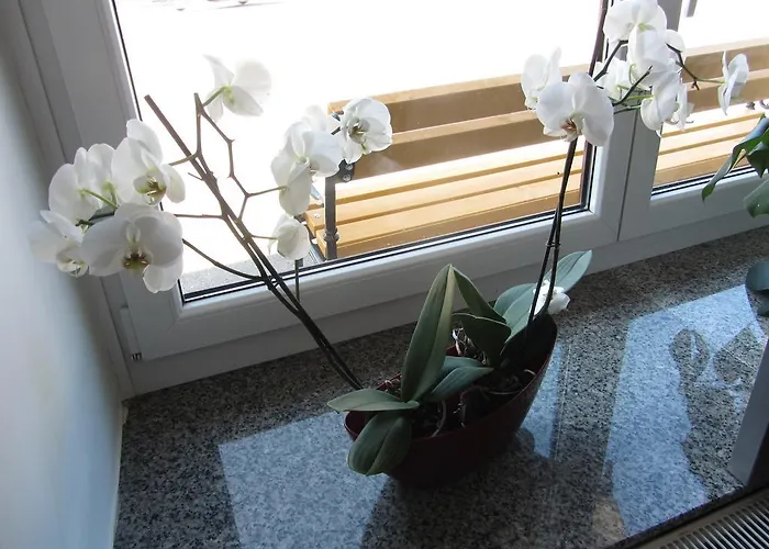 Maison d'hôtes Tollazzi Logatec