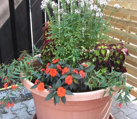 Hiša za goste Tollazzi Logatec